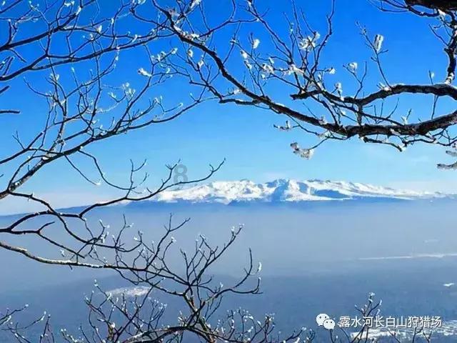 全战：不列颠王座